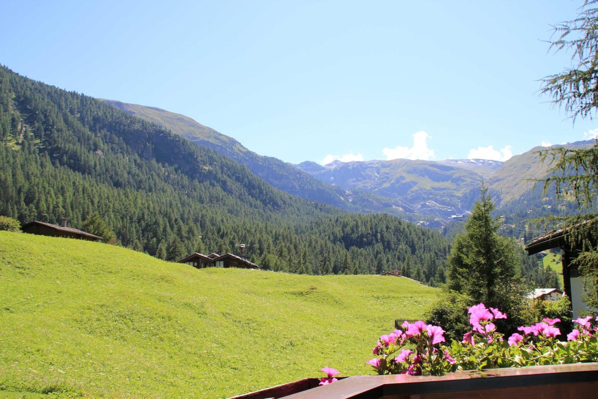 Haus Pan Apartment Zermatt Luaran gambar